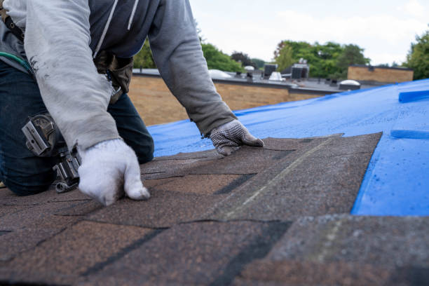Best New Roof Installation  in Sulligent, AL