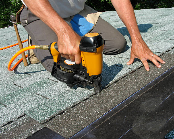 Roof Gutter Cleaning in Sulligent, AL