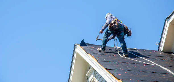 Best Storm Damage Roof Repair  in Sulligent, AL